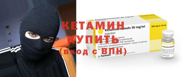 СК Новодвинск