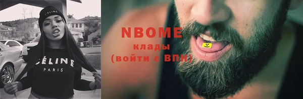 твердый Новозыбков