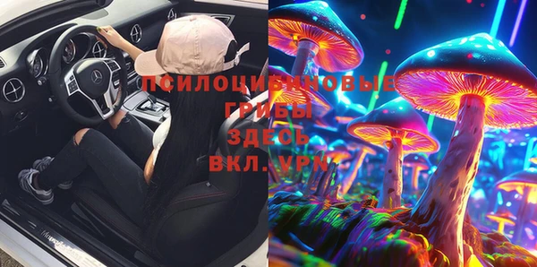 apvp Алзамай