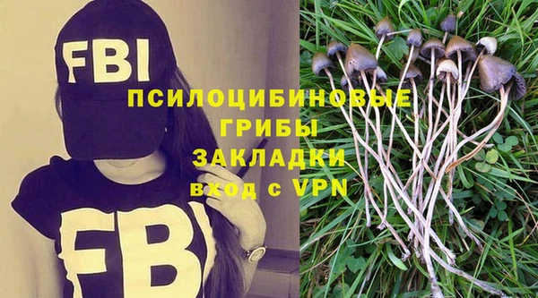 мет Алексин