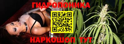 индика Чапаевск