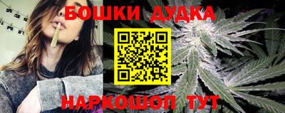 индика Чапаевск