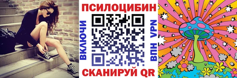 Псилоцибиновые грибы Psilocybe Якутск