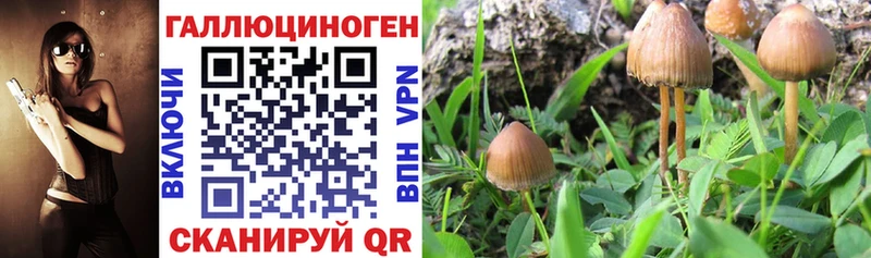 Галлюциногенные грибы Magic Shrooms  Якутск 