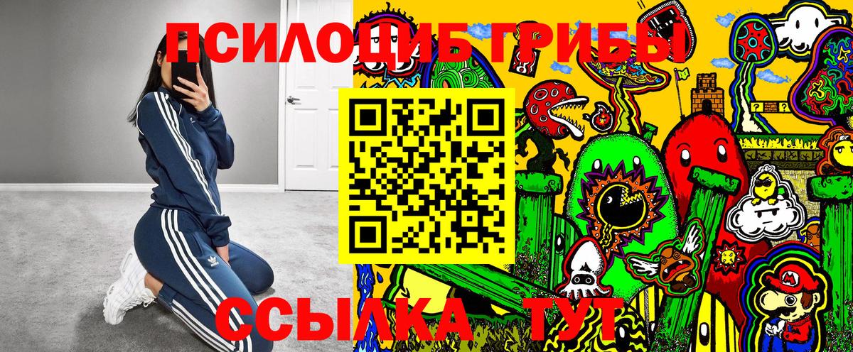 Якутск  Псилоцибиновые грибы Cubensis  Вход с VPN 