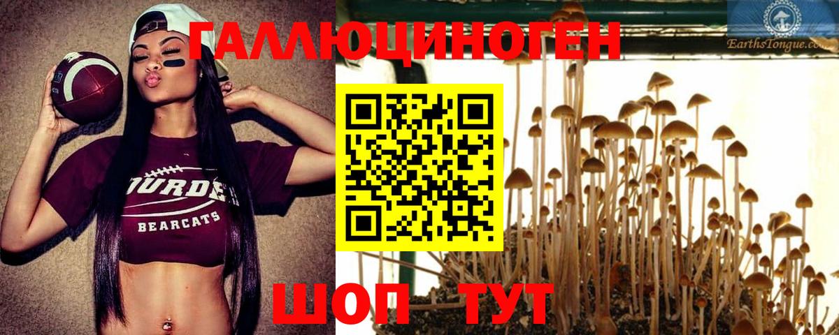 Галлюциногенные грибы GOLDEN TEACHER Якутск